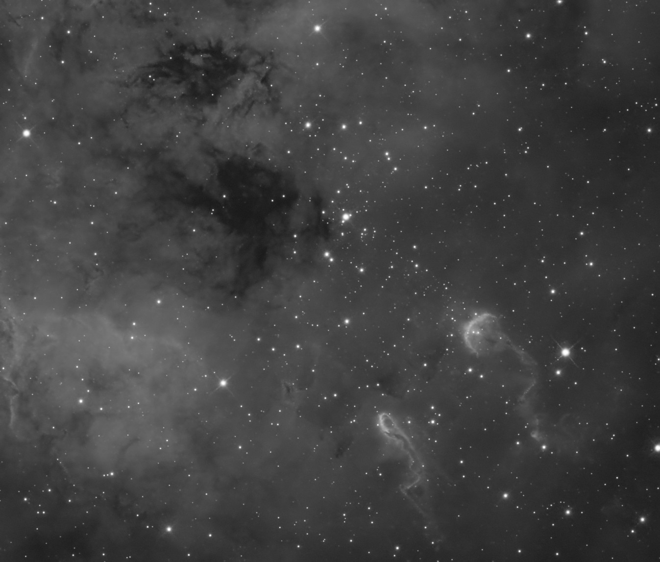 After Stellacuity: the Tadpoles in IC 410